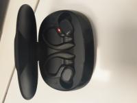 CS2376/2026  BLACK EARBUDS IN CASE
